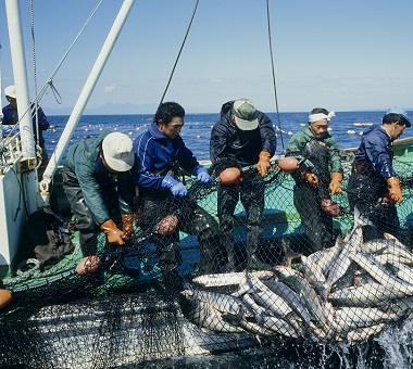 Fishing & Marine