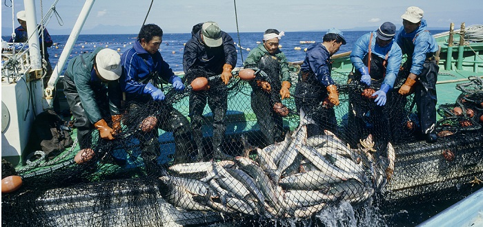 Fishing & Marine